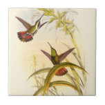 Carreau Deux colibris colorés qui veulent la même fleur<br><div class="desc">L'artiste John Gould était passionné par les oiseaux. Dans ce dessin coloré,  les deux colibris et la fleur sont magnifiquement représentés. Les détails de ce bel art coloré raviront les amateurs d'art.</div>