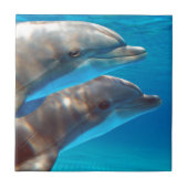 Carreau Deux dauphins nageant (Devant)