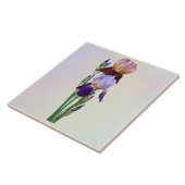 Carreau Deux iris barbus Un marron Un violet (Côté)