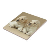 Carreau Deux Marionnettes Golden Labrador (Côté)