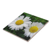 Carreau Deux mignonnes marguerites blanches (Côté)