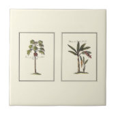Carreau Deux mini palmiers encadrés (Devant)