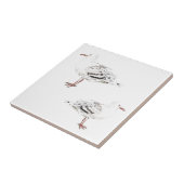 Carreau Deux mouettes Aquarelle Croquis Oiseaux (Côté)