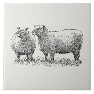 Carreau Deux moutons illustrés
