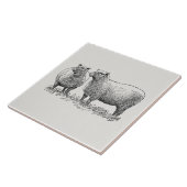 Carreau Deux moutons illustrés (Côté)