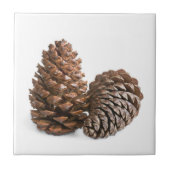 Carreau Deux pinecones (Devant)