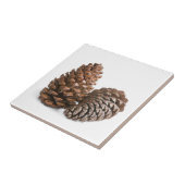 Carreau Deux pinecones (Côté)