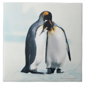 Carreau Deux pingouins affectueux (Devant)