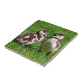 Carreau Deux poussins d'oies égyptiennes (Côté)