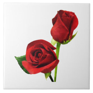 Carreau Deux roses rouges