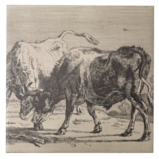 Carreau Deux taureaux combattant (de Paulus Potter) (Devant)