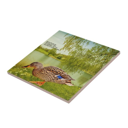 CARREAU DEVIS DE DUCK   (Côté)