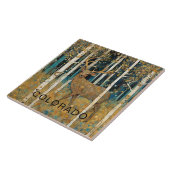 Carreau Devoir d'automne du Colorado (Côté)