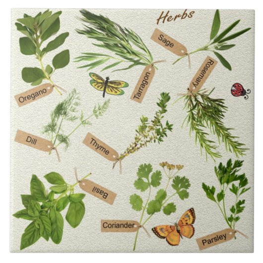 carreau d'herbes (Devant)