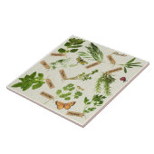 carreau d'herbes (Côté)