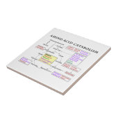 Carreau Diagramme de catabolisme d'acide aminé (Côté)