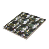 Carreau Diamants, élégantes pierres vintages (Côté)