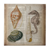 Carreau dictionnaire imprimer français botanique de plage  (Devant)