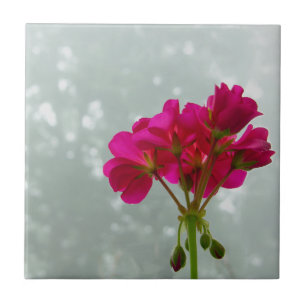 Carreau d'image rose