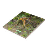 Carreau Dinosaure Spinosaurus (Côté)