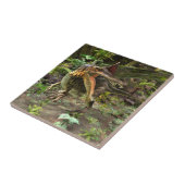 Carreau Dinosaure Spinosaurus (Côté)