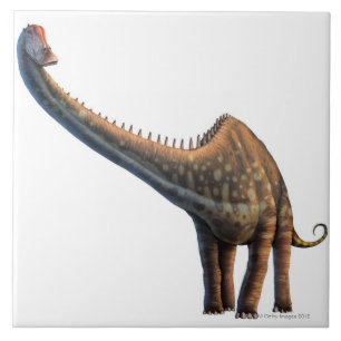 Carreau Diplodocus