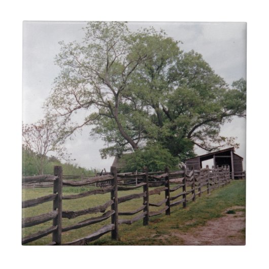 Carreau Direction (Devant)