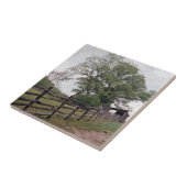 Carreau Direction (Côté)