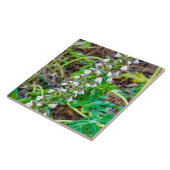 Carreau Discours de l'ours (Côté)