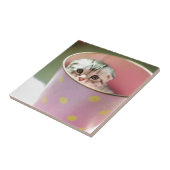 Carreau Dissimulation de chaton (Côté)