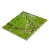 Carreau Diverses structures de texture de pierres gemmes s (Côté)