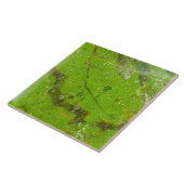 Carreau Diverses structures de texture de pierres gemmes s (Côté)