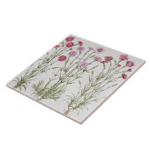 Carreau Diverses variétés d'oeillets, du 'Hortus Ey (Côté)