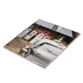 Carreau Dixon, Nouveau Mexique, Etats-Unis. Voiture (Côté)