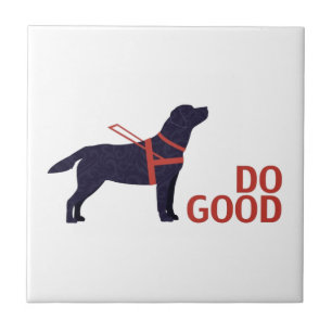 Carreau Do Good - Service Chig - Black Lab