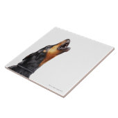 Carreau Dobermann hurlant, plan rapproché (Côté)