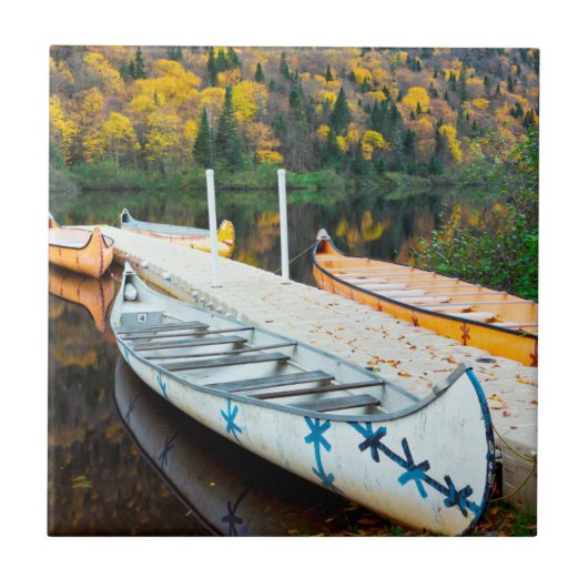 Carreau Dock de Rivière Jacques-Cartier | Rabaskas (Devant)