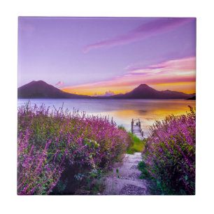 Carreau dock en bois brun entre le champ de fleurs de lava