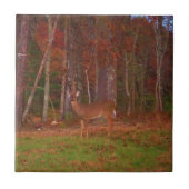 Carreau Doe a Deer in Lake Arrowhead (Devant)