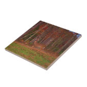 Carreau Doe a Deer in Lake Arrowhead (Côté)