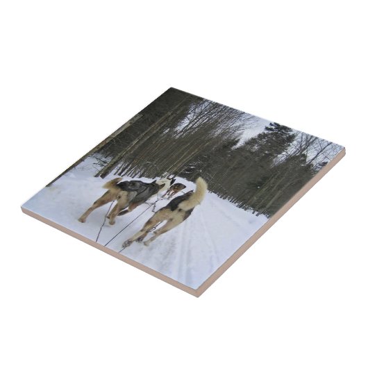 Carreau Dog Sledding à Québec, Canada (Côté)