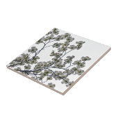 Carreau Dogwood à fleurs blanches (Côté)