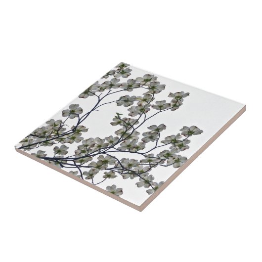 Carreau Dogwood à fleurs blanches (Côté)