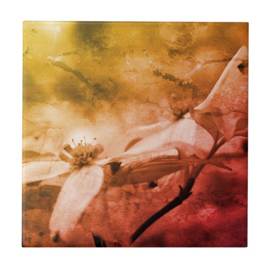 Carreau Dogwood Fleur Noir Et Blanc Vintage (Devant)