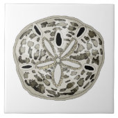 Carreau dollar de sable (Devant)