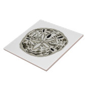 Carreau dollar de sable (Côté)