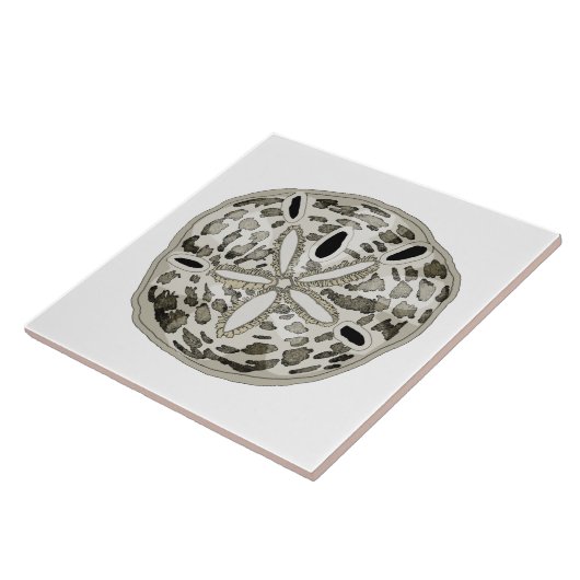 Carreau dollar de sable (Côté)