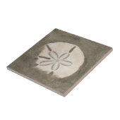 Carreau Dollar de sable (Echinarachnius parma) (Côté)