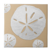 Carreau Dollar de sable tropical brun et blanc (Devant)