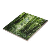 Carreau Dominicain Forêt de pluie II Vert tropical (Côté)